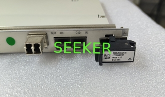 China NOKIA 1830 PSS-16II S13X100E 8DG63988AA 100G supplier